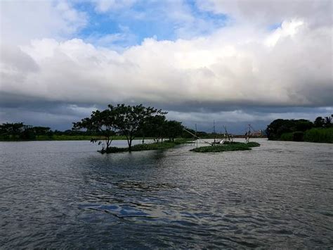 Trip to Purbachal lake was worth it. The place is sooo damn awesome 😍 : r/bangladesh