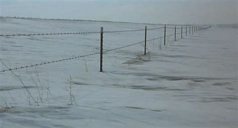 My Favorite Scene: Fargo | And So It Begins...