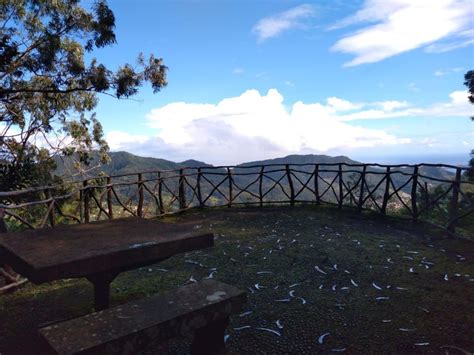 Madeira: Sunday Market in Santo da Serra | GetYourGuide