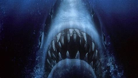 Shark Week: Jaws, Sharknado and other shark movies