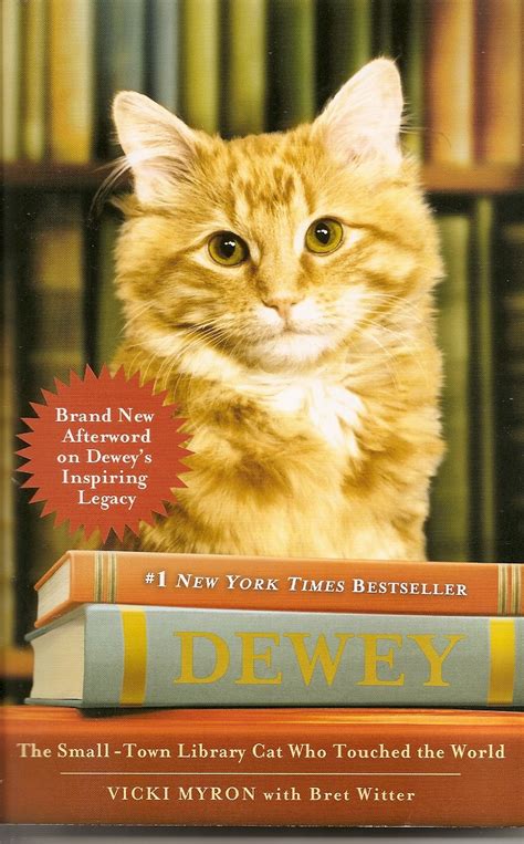 LaDeDa Books: Dewey - The Small-Town Library Cat Who Touched the World