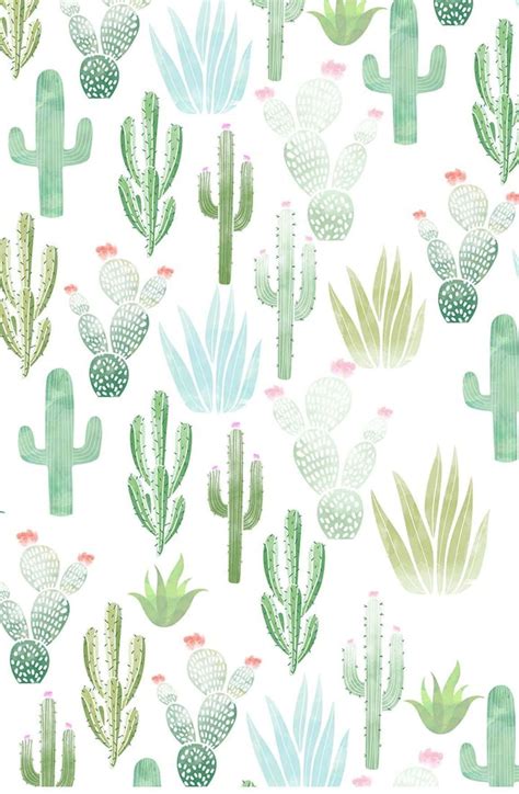 Download Pastel Blue Green Cute Cactus Wallpaper | Wallpapers.com