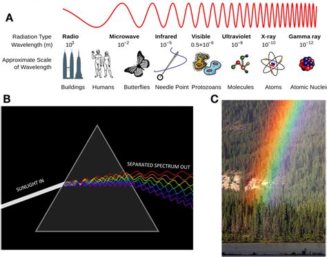 How Do We See Color? · Frontiers for Young Minds