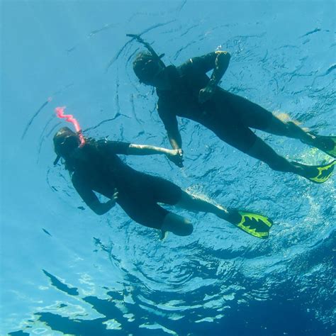 Snorkeling Safaris - Aqua Divers Club