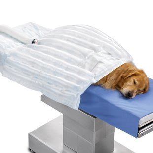 3M 31077 Bair Hugger Animal Health Blanket, Medium (Pack of 10) : Amazon.ca: Industrial & Scientific