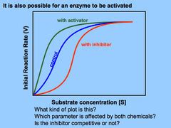 Allosteric Enzymes flashcards | Quizlet