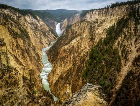 Yellowstone River | Yellowstone NP - Ron Mayhew