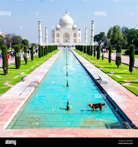 Taj mahal palace hi-res stock photography and images - Alamy