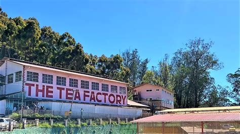 Here is the inside out of The Tea factory and Tea Museum of Ooty ...