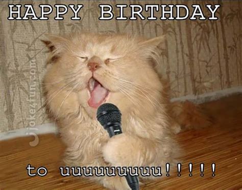 35 Cat Birthday Memes That Are Way Too Adorable - SayingImages.com | Happy birthday cat, Cat ...