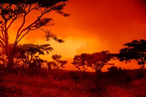 Red African Sunset Free Stock Photo - Public Domain Pictures