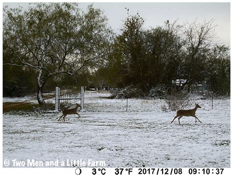 Two Men and a Little Farm: WINTER SNOW HOUSTON 2017