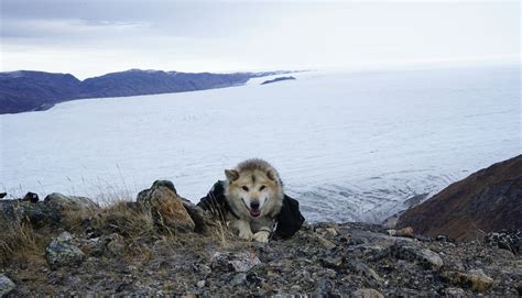 Greenland Trekking Trips | Thule Expeditions