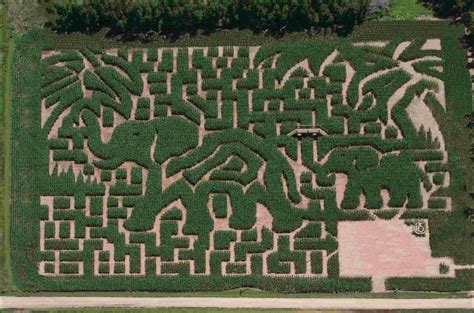 Amazing Corn Crop Maze Art | Art