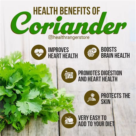 Health benefits of coriander | Health, Health and wellness, Brain health