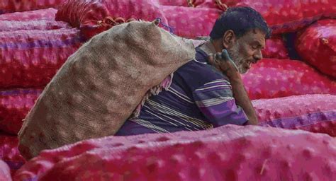 Eye on LS polls? Centre lifts 5-month ban on onion exports - Times of India