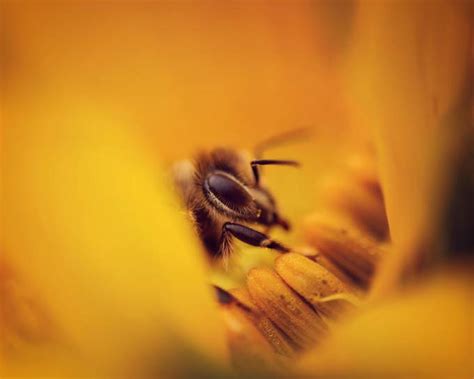 15+ Amazing Photographers Capture Bright Colors In Nature - VIEWBUG.com