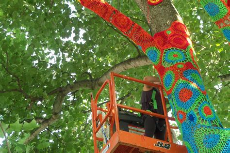 Yarn bombing comes to Stony Brook’s trees | TBR News Media