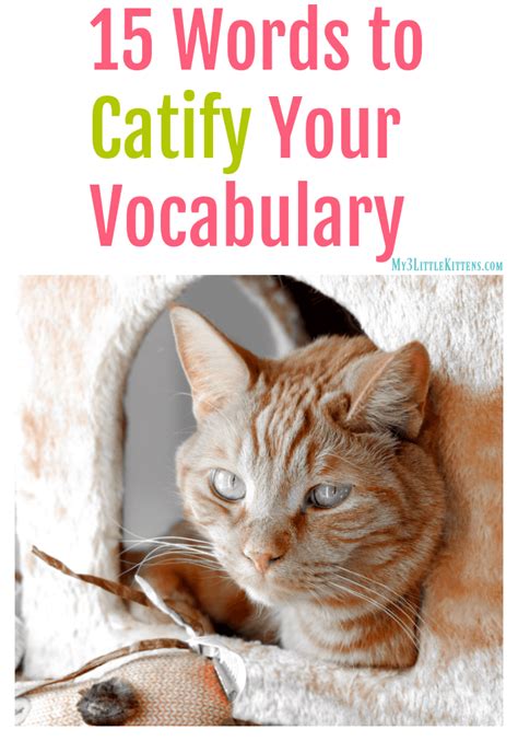 15 Words to Catify Your Vocabulary - My 3 Little Kittens