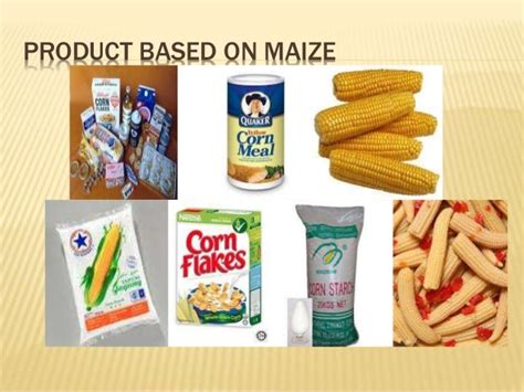 Maize