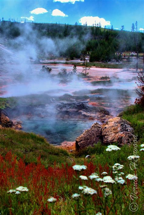 Norris Geyser Basin - VernonHeywood.com