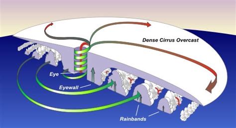 Hurricane Structure | Weather Academy