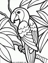 Bird Coloring Pages For Kids  The Barn Páginas Para sketch template