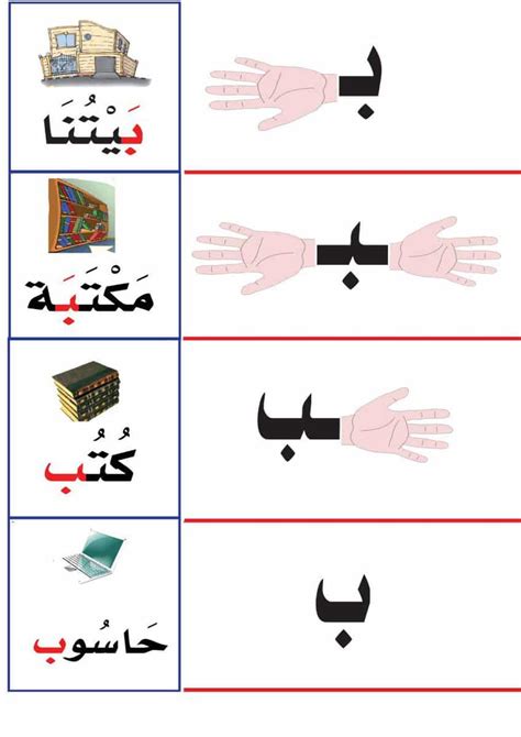 Survival laundry radium كلمات بحرف الباء للاطفال insect chin practice