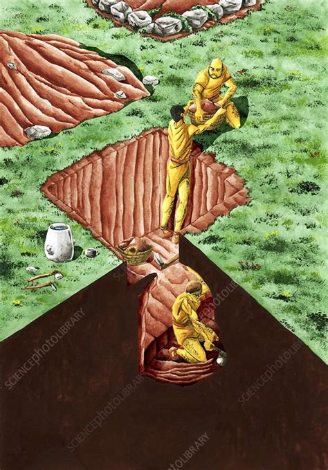 Neolithic burial pit, artwork - Stock Image - C019/8174 - Science Photo ...