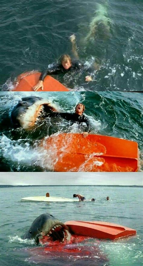 Pin by Brendan Umphrey on Sharks | Shark pictures, Jaws film, Classic horror movies