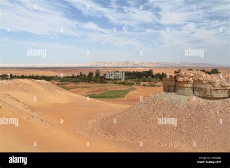 oasis in sahara desert Stock Photo - Alamy