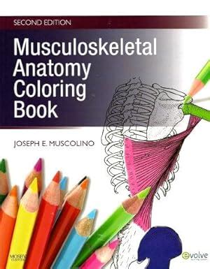 MUSCULOSKELETAL ANATOMY COLORING BOOK Second Edition by Muscolino, Joseph: Very Good+ Soft Cover ...