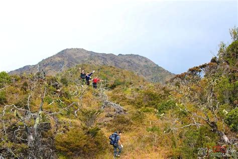 Gunung Leuser National Park