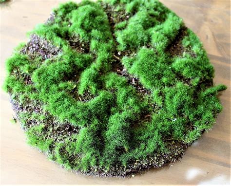 Artificial Moss Pad-Fairy Garden moss field-Artificial soil | Etsy