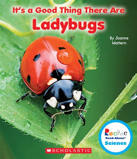 Books about lady bugs - My Mommy Style