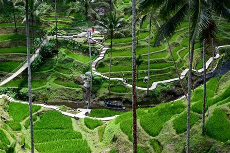 Ubud Centre, la Capitale des Arts du centre : tout ce qu'il faut visiter