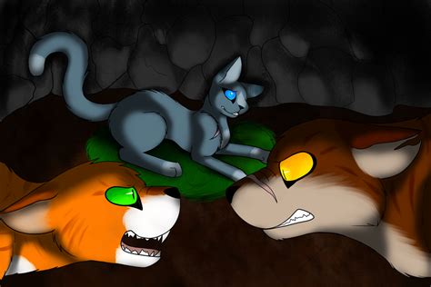 Fireheart and Tigerclaw by Rose-The-Mangle on DeviantArt