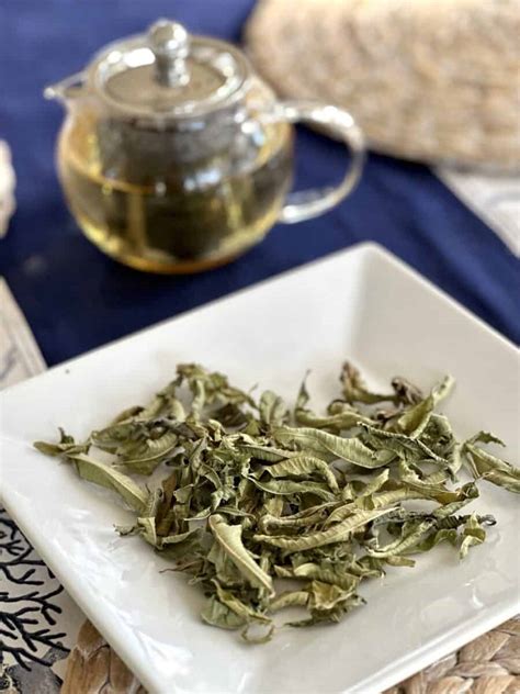 Exploring the Richness and Benefits of Herbal Greek Lemon Verbena Tea - Life is Better with Tea