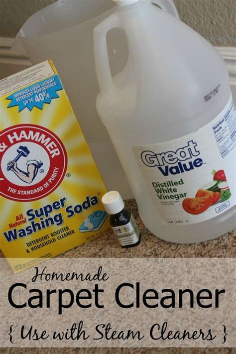 Diy Carpet Cleaner Solution Pet Urine - Gosustainable