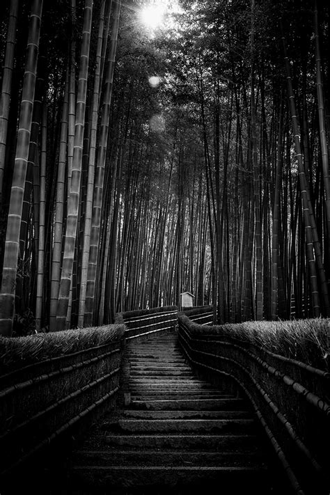 Arashiyama Bamboo Forest - Pierre Pichot