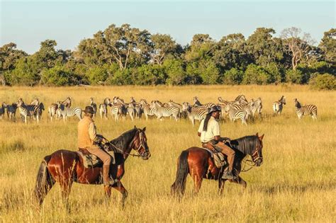 The Best Horseback Riding Safaris In Botswana | AFKTravel