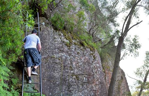 Hiking Pigeon House Mountain (Didthul) - Morton National Park