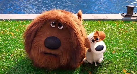 The Secret Life of Pets, Max And Duke HD wallpaper | Pxfuel