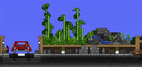 A Small Bamboo Garden : Terraria | Bamboo garden, Terrarium, Bamboo