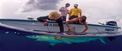 Bimini Shark Lab - Sundance Boats