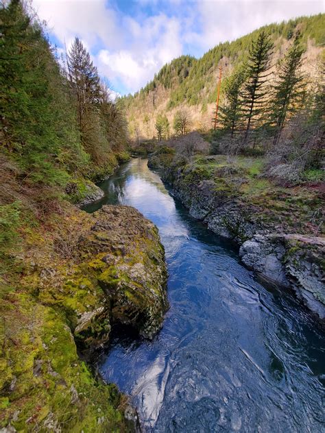 Wilson River, Tillamook State Forest, Oregon [4608x3456][OC] : r/EarthPorn