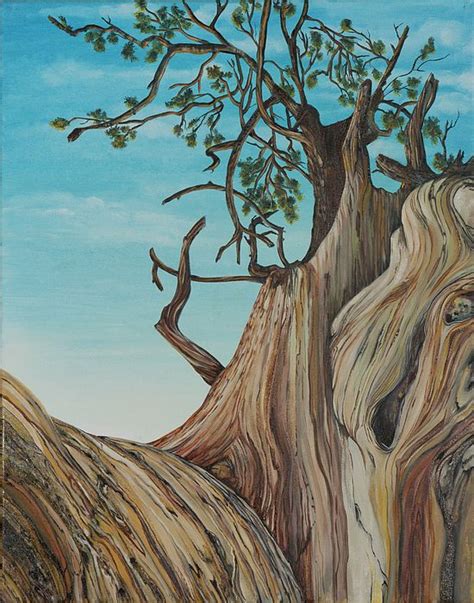 Bristlecone Pine 2 by Alexandra Kube | Bristlecone pine, Ancient tree, Painting