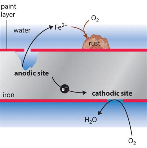 Electrochemistry | Electrochemistry, Chemistry lessons, Chemistry experiments