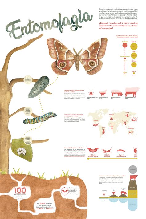 Entomophagy Infographic on Behance