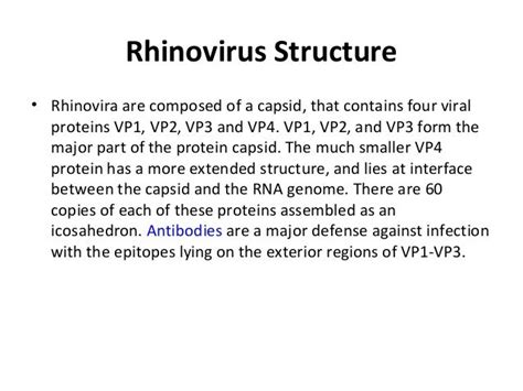 Rhinovirus